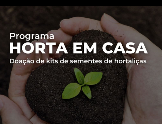 Município de Guanhães distribui kits com sementes para cultivo caseiro