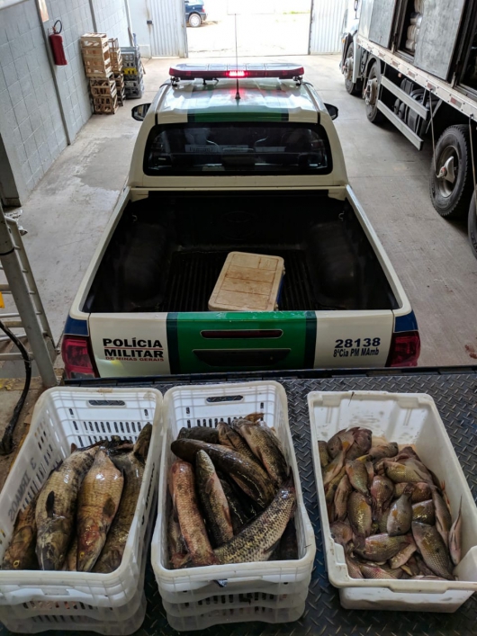 Quatro pessoas são presas por pesca predatória em Dores de Guanhães