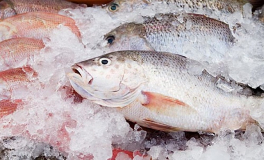 Procura por peixe aumenta durante o período da Quaresma