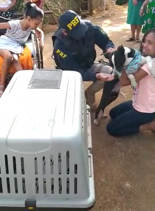 Após 2 meses de acidente que matou pai, mãe e irmão, crianças reencontram cachorrinho da família que estava sumido em Minas