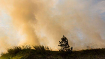 Brasil tem menos mortes por poluição do ar que outros emergentes, mas &#039;tendência é de piora&#039;