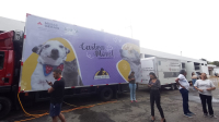 Mais de 100 animais devem ser castrados gratuitamente nesta quarta-feira em Guanhães