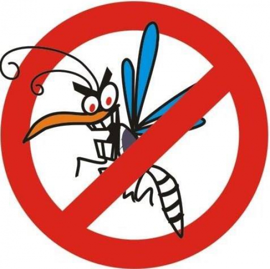 Com casos de dengue confirmado em 2016, Conceição do Mato Dentro realiza mutirão para acabar com o Aedes Aegypti
