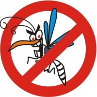 Com casos de dengue confirmado em 2016, Conceição do Mato Dentro realiza mutirão para acabar com o Aedes Aegypti