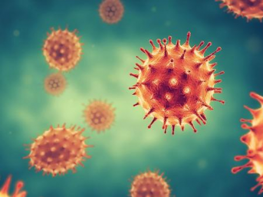 Infecção por covid-19 garante imunidade por cinco meses, mostra estudo
