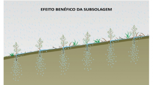 Cenibra apoia projeto de conservação de água em Sabinópolis