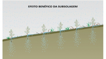 Cenibra apoia projeto de conservação de água em Sabinópolis