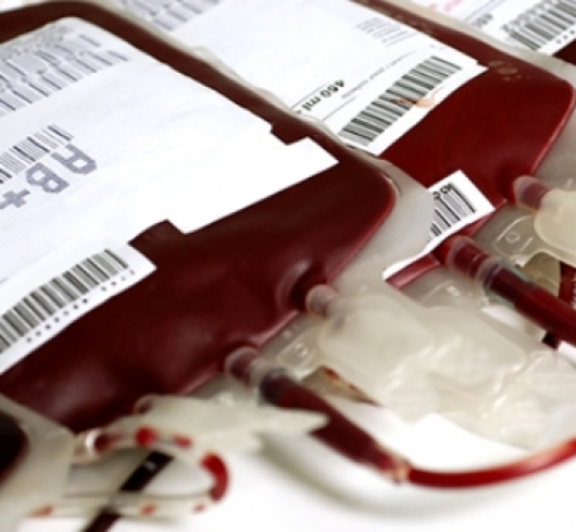 Unidade da Fundação Hemominas em Diamantina realiza a Semana do Doador Voluntário de Sangue