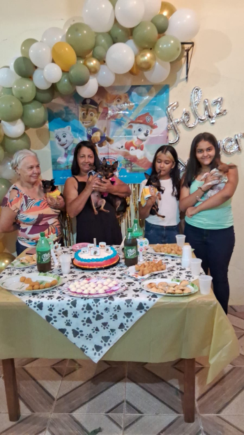 REGI&Atilde;O: Moradores de Paulistas celebram a vida de cinco pets com festa tem&aacute;tica