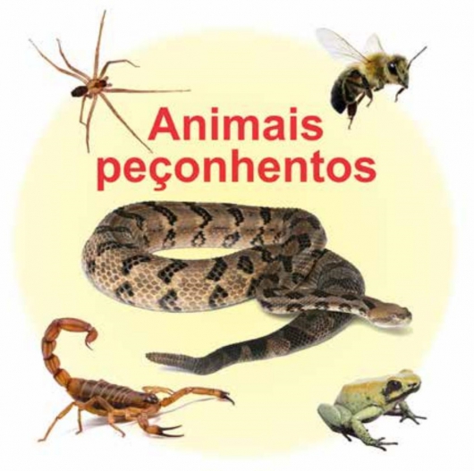 Virginópolis alerta moradores para aumento do número de casos com animais peçonhentos no município