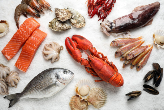 Campanha de incentivo ao consumo de pescados acontece neste mês de setembro em todo o Brasil