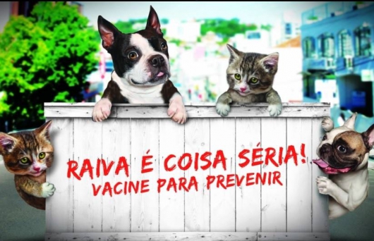 Campanha de vacinação contra a raiva destinada a cães e gatos segue até o dia 04 de julho