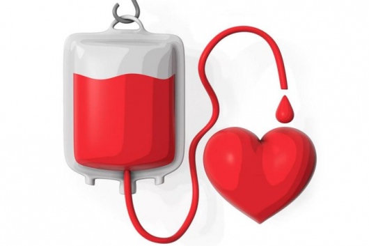 GUANHÃES: Caravana que vai levar voluntários para doação de sangue, segue rumo à capital neste sábado