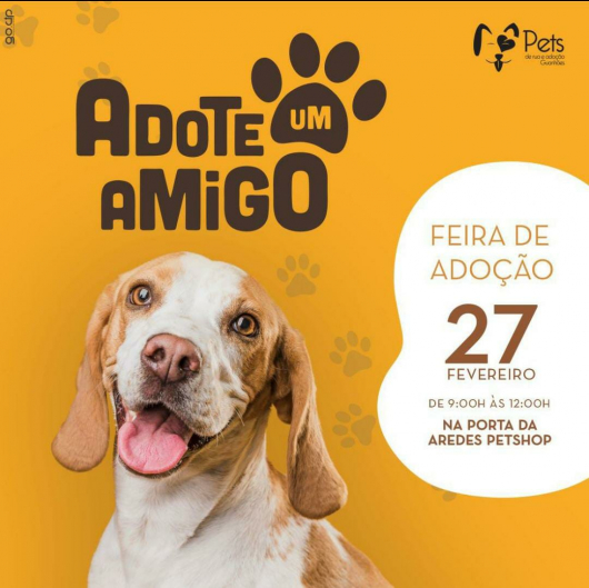 Neste sábado tem feira de adoção de animais de rua em Guanhães