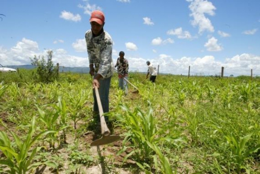 Serro: Pronaf realiza programa de benefício aos agricultores familiares