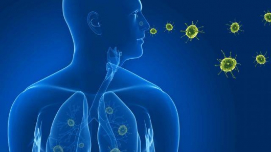 Pneumonia: especialista conta à reportagem da Folha tudo o que você precisa saber sobre a doença e ainda dá dicas de prevenção