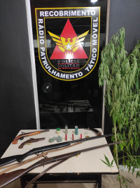 Autor é preso em Virginópolis por posse ilegal de arma de fogo e cultivo de pé de maconha