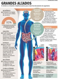 ALÉM DA DIGESTÃO: Com papel essencial no organismo, intestino é o ‘segundo cérebro’