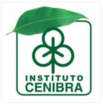 1º Seminário Regional – A BNCC no Vale do Aço Belo Oriente acontece nesta segunda
