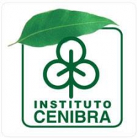 1º Seminário Regional – A BNCC no Vale do Aço Belo Oriente acontece nesta segunda