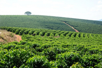 Projeto vai testar energia agrovoltaica no estado