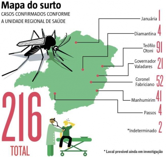 Casos suspeitos de febre amarela em Minas se aproximam de mil em apenas 40 dias