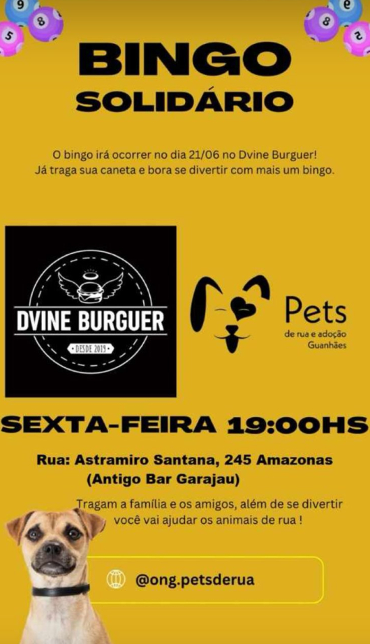 ONG Pets de Rua e Adoção Guanhães vai promover mais um Bingo Solidário em prol da causa animal!