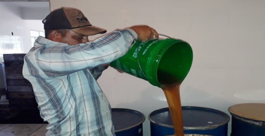 Produção de mel de Sabinópolis é destaque estadual