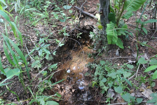 Parceria entre Prefeitura, CODEMA e EMATER busca preservar e recuperar as nascentes em Guanhães