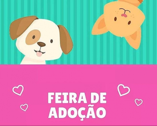 Nove animais são adotados na 3ª Feira de Adoção da ONG Pets de Rua e Adoção Guanhães