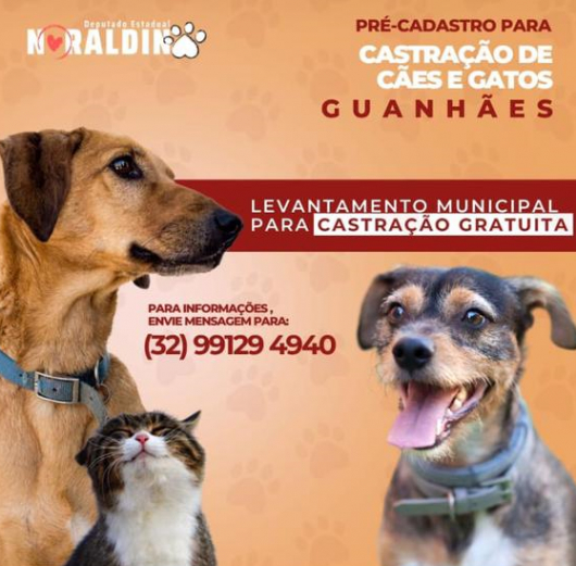Castramóvel deve vir a Guanhães nas próximas semanas
