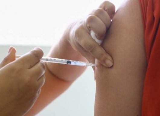 Secretaria de Estado de Saúde revisa classificação de casos de febre amarela
