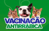 Últimos dias da Campanha de Vacinação Antirrábica para cães e gatos em Guanhães
