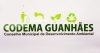 Munic&iacute;pio de Guanh&atilde;es divulga cronograma de a&ccedil;&otilde;es do CODEMA