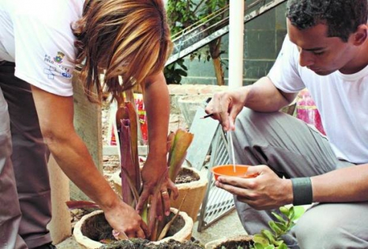 ALERTA: Surto de microcefalia pode chegar a Minas, que lança campanha