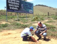 SAAE Guanhães: Dia da Árvore é lembrado com o plantio de 400 mudas na ETE