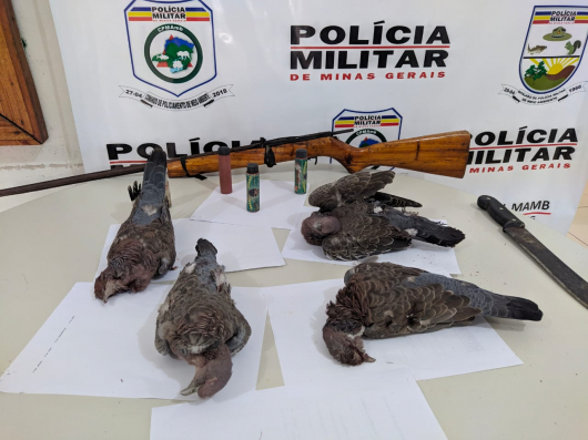 Autor de caça predatória é preso em Guanhães