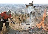 Risco de queimadas em Minas aumenta junto com focos de calor