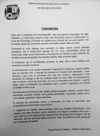 Setor de Vigilância divulga nota sobre surto de cinomose em Guanhães